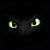 Andie Groff's profile image