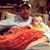 Skyler Bessert's profile image