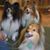 Betty Hitzler's profile image