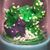 Cynthia Hight's profile image