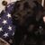 J.o. Henry's profile image