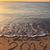 Linda Petronella's profile image