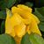 Kristin Anderson's profile image