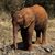 Dawn Creamer Lucas's profile image