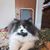 Jewell-Ferrante Shanon's profile image