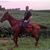 Jay Digman's profile image