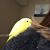 Ashley Morgan Hoffman's profile image