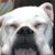 Jerry Clapp's profile image
