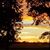Marty Bodine's profile image