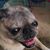 Renee Crump's profile image