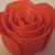 Grace Fullnot's profile image