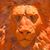 Armando Jose Delgado's profile image
