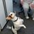 Carol Lyons's profile image