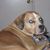 Deanna Allen's profile image