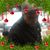 Tracey Mccaskill's profile image