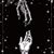 Tobias Morgan Killgore's profile image