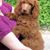 Maggie Holder's profile image
