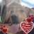 Maelinda Rose's profile image