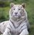 Linda Rheinecker's profile image