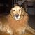 Andrew M Pion's profile image