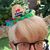 Susan Wright's profile image
