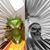 Richard Dominguez's profile image