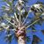 Karen Wilson Whitehurst's profile image