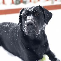 Marlee Ann's profile image
