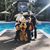 Tia Dickert Varnadore's profile image