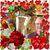 Beth Lyn Kirkpatrick's profile image