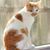 Megan Bonnett's profile image