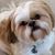 Ginajo Sellma's profile image