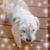 Anne Van Dreumel's profile image