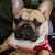 Lori Fahndrich's profile image