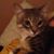 Freeda Mitchell Jenkins's profile image