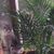 Cindy Montgomery's profile image