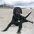 Ivelina Kemmerer's profile image