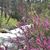 Kimberly Ann Kirkpatrick's profile image