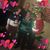 Delores Richardson's profile image