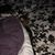 Amber Overstreet's profile image