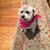 Lida Brackin McGivern's profile image