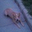 Zach Hines's profile image