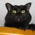 Janet Henry Dixon's profile image