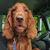 Nanci Paciotti Huffman's profile image