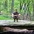 Alan Elfrink's profile image