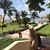 Maricela Calvo Guzman's profile image