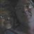James Vickie Elliott's profile image