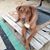 Kelly Clark's profile image