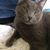 Barbara Futter's profile image