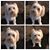 Jennifer Crews-Carey's profile image